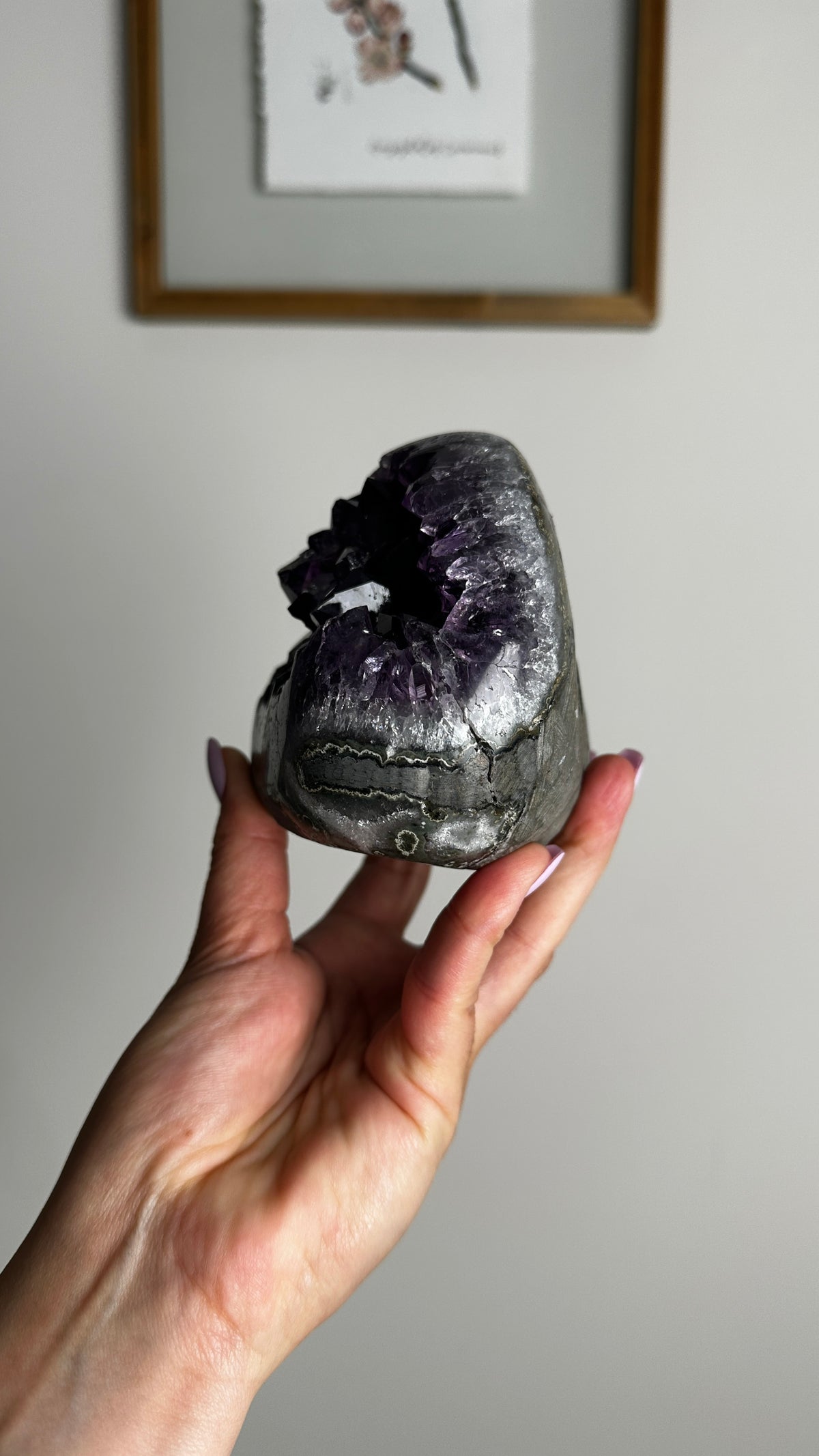 A hand holding a raw amethyst geode specimen with a dark gray outer matrix and a deep purple crystal cavity, set against a neutral indoor wall with a framed picture in the background.
