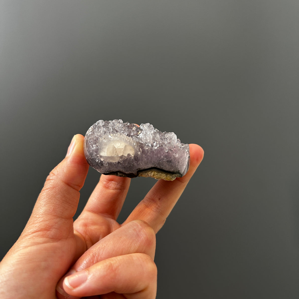 Druzy Amethyst Palm Polished Stand