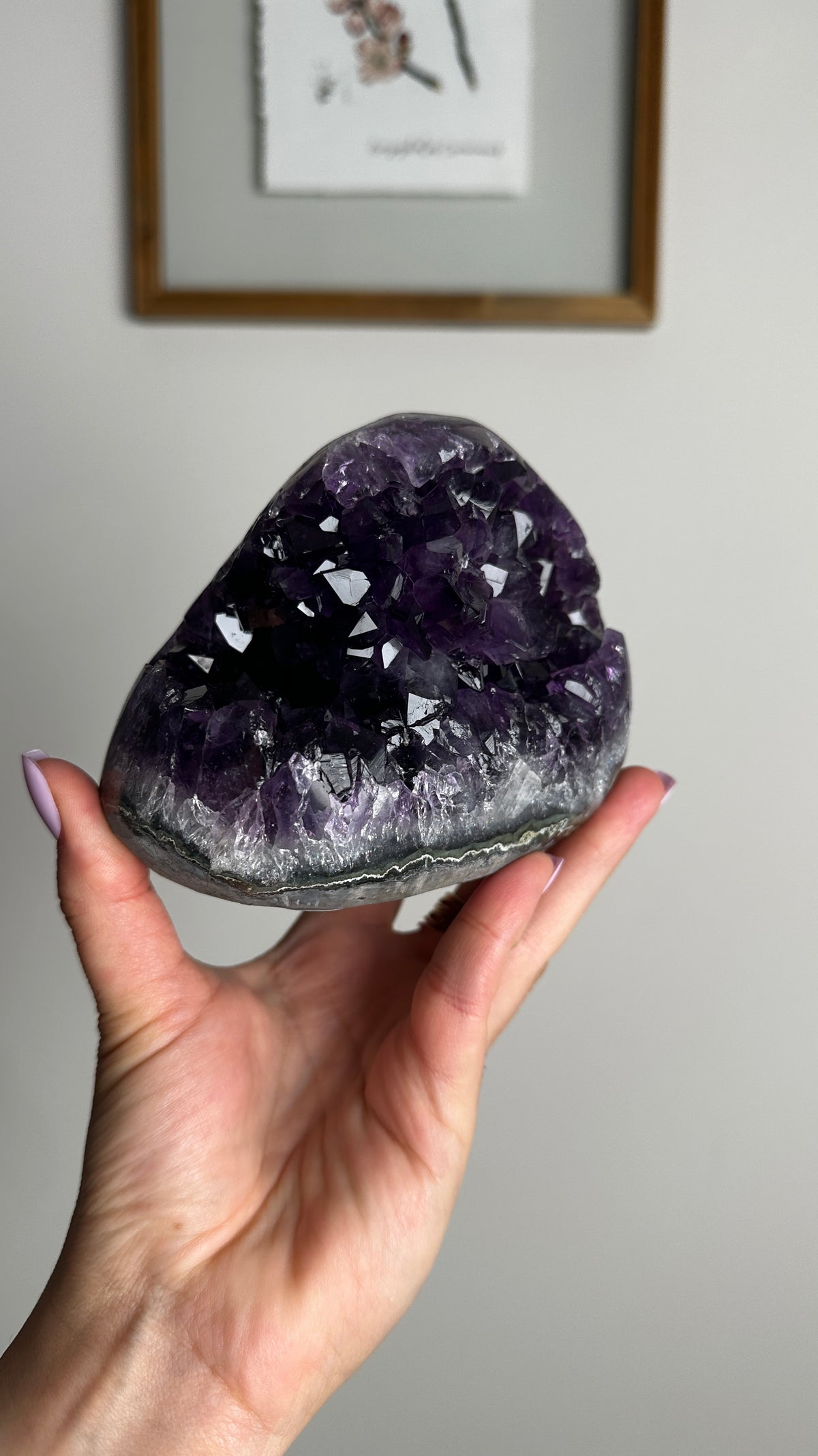 Natural Purple Amethyst Geode Cluster (DD)