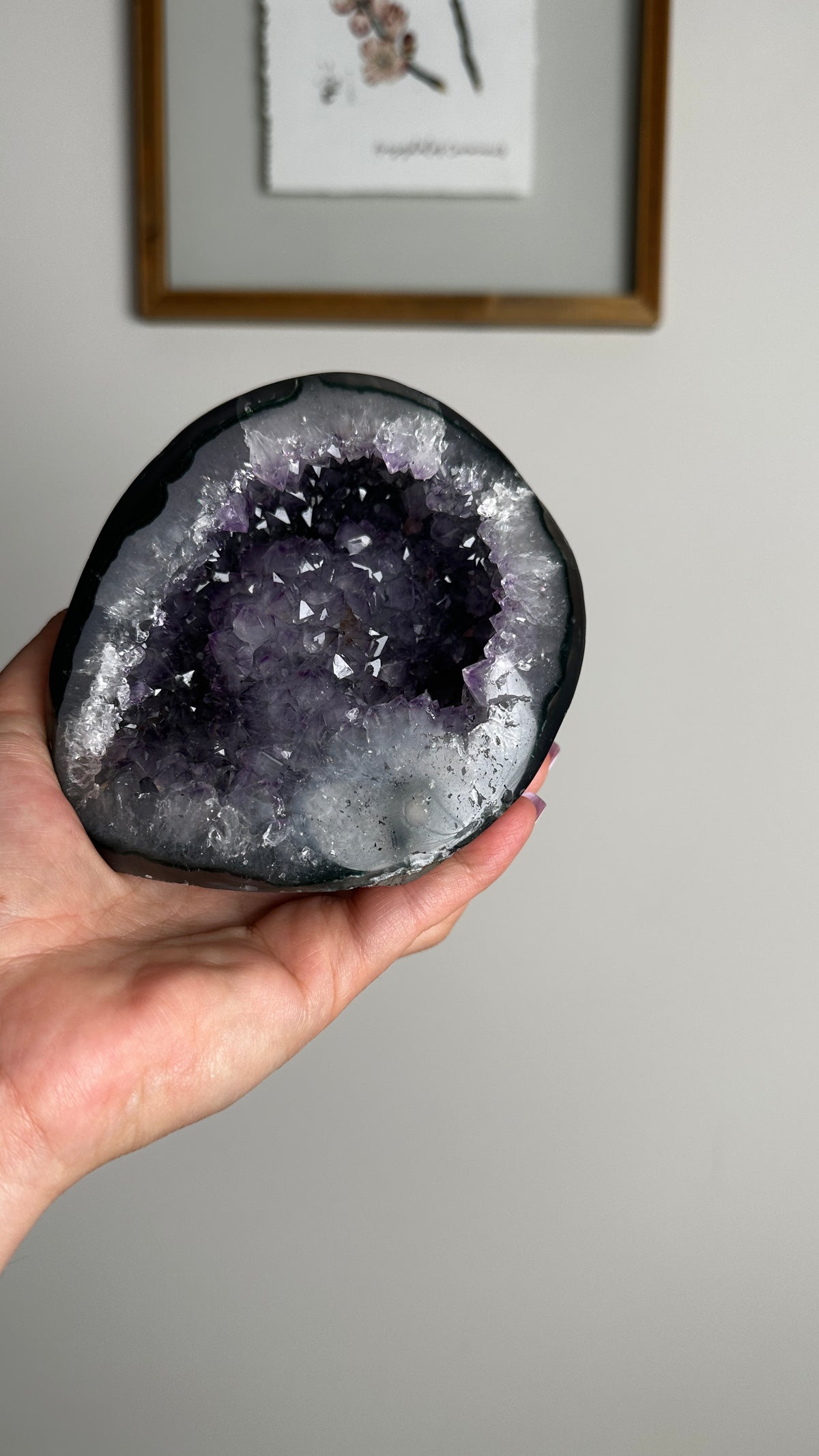Natural Purple Amethyst Geode Cluster (EE)