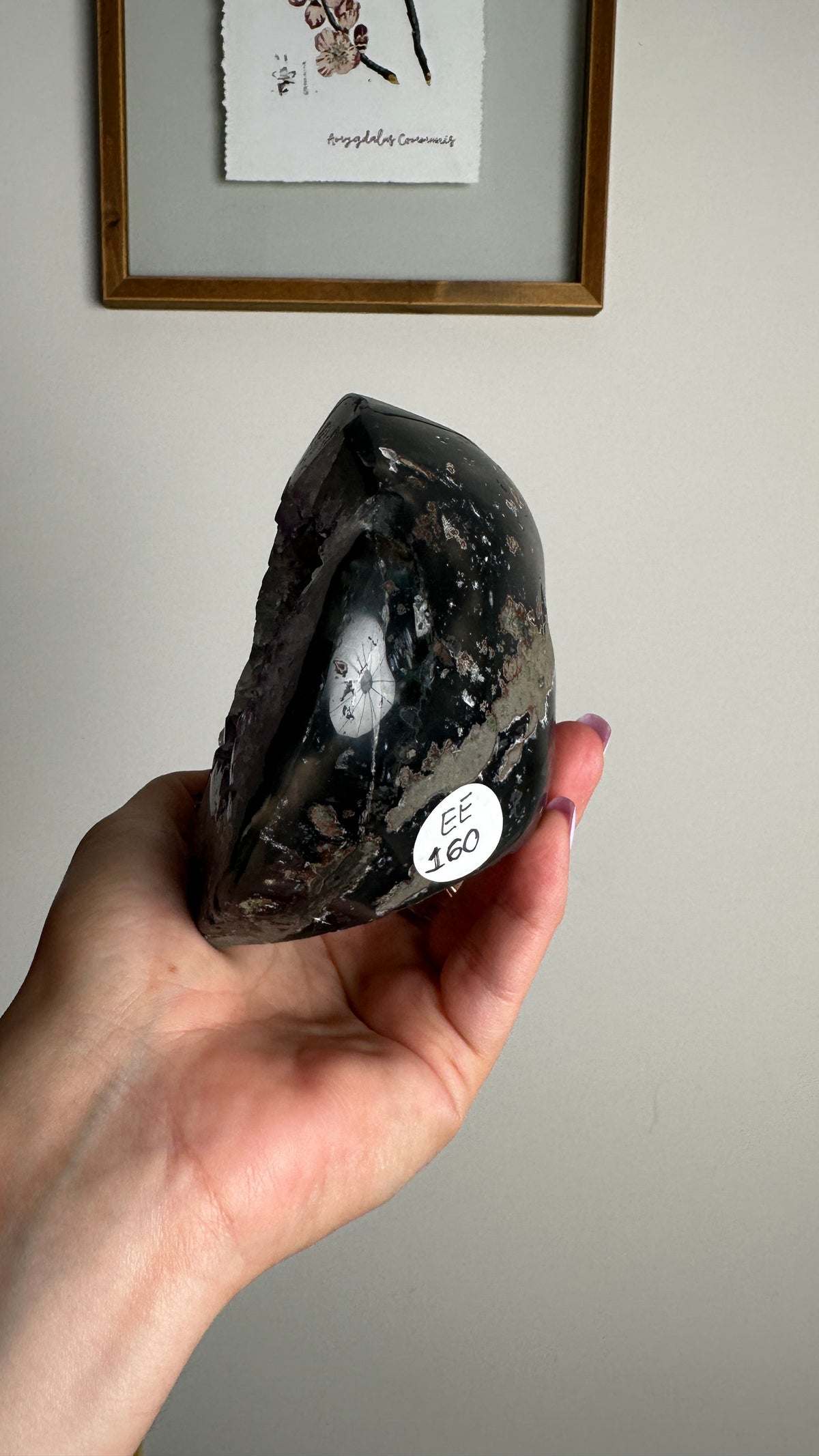 Natural Purple Amethyst Geode Cluster (EE)