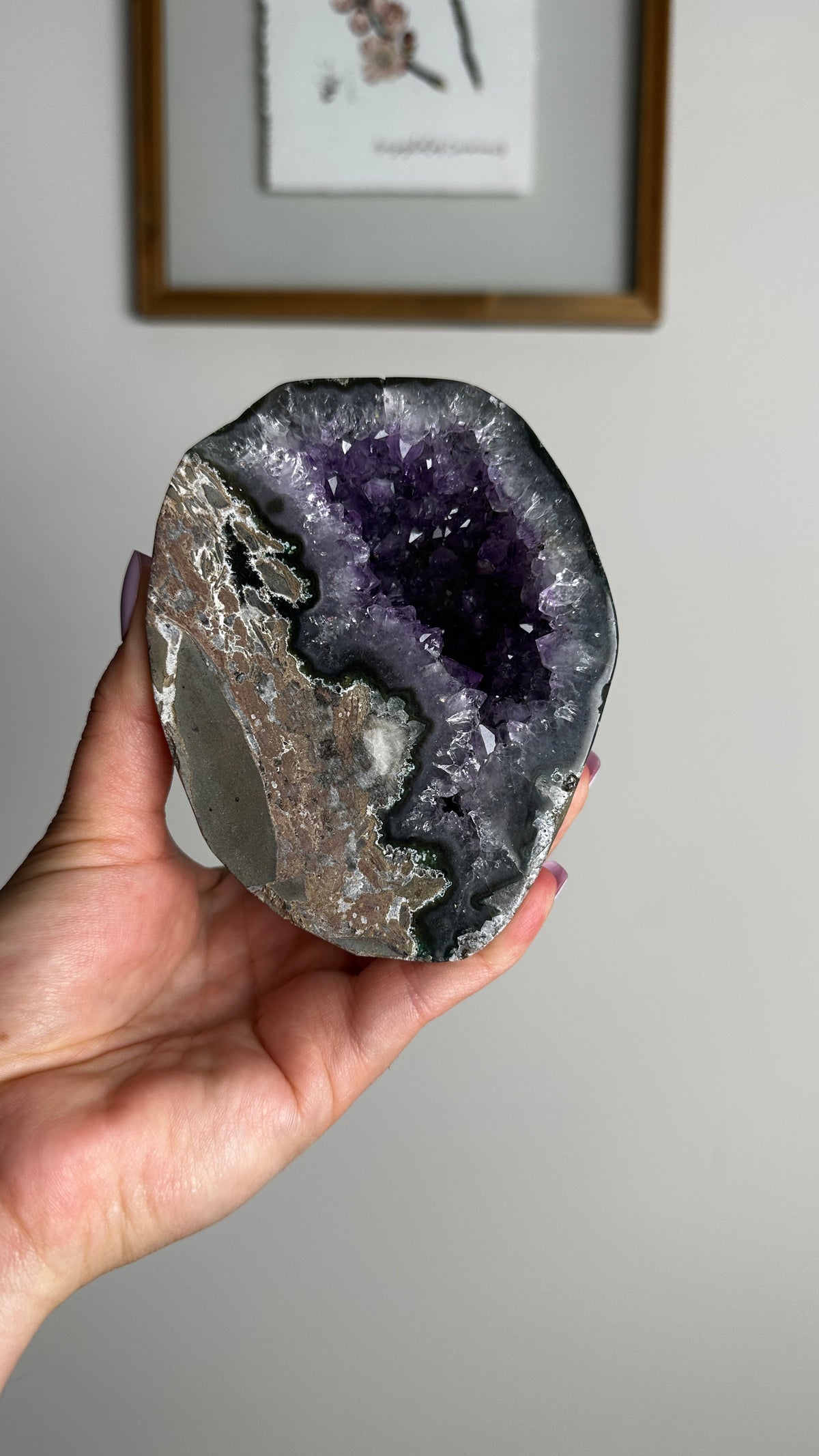 Natural Purple Amethyst Geode Cluster (FF)