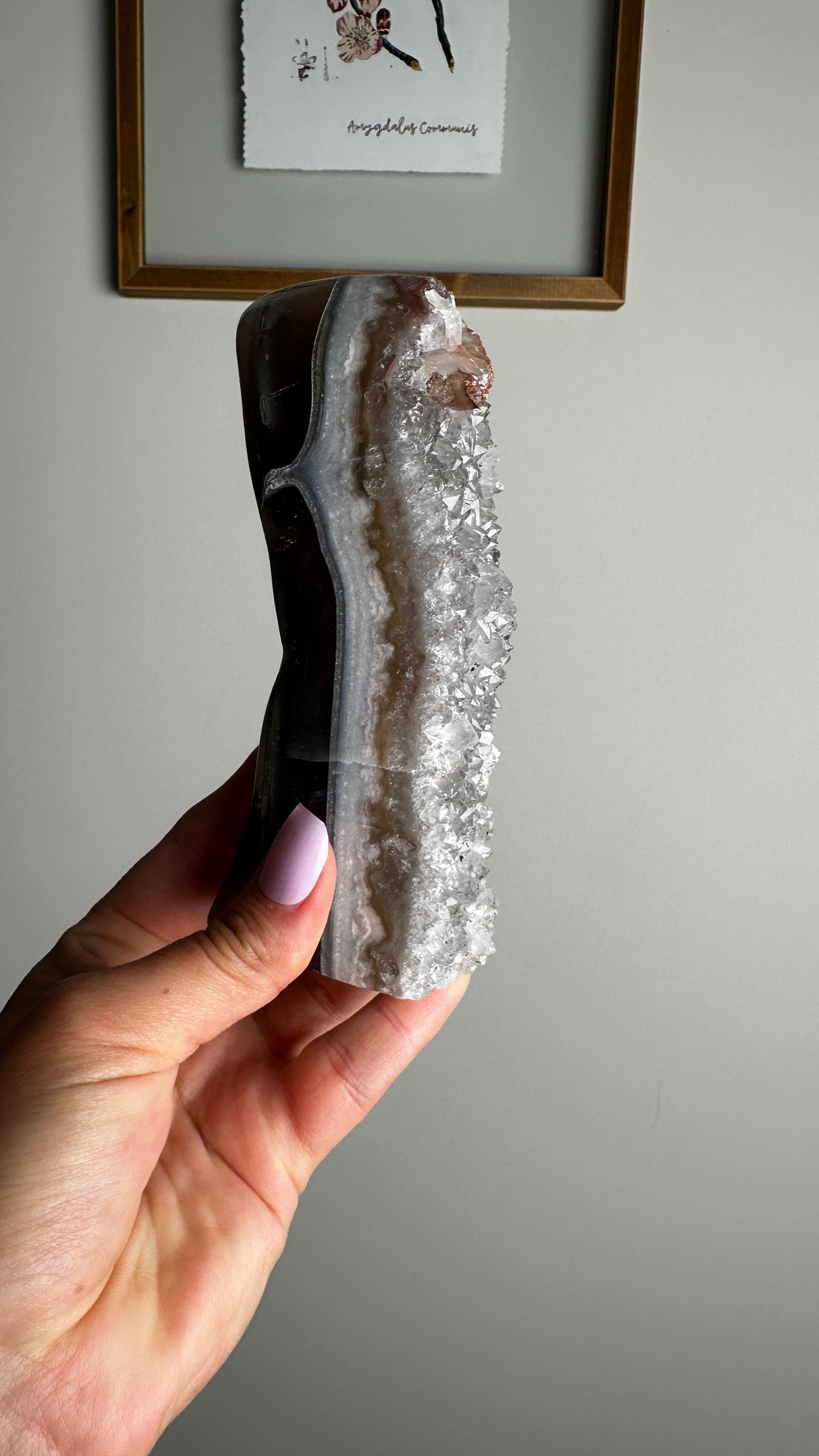 Natural Amethyst Geode Stand (HH)