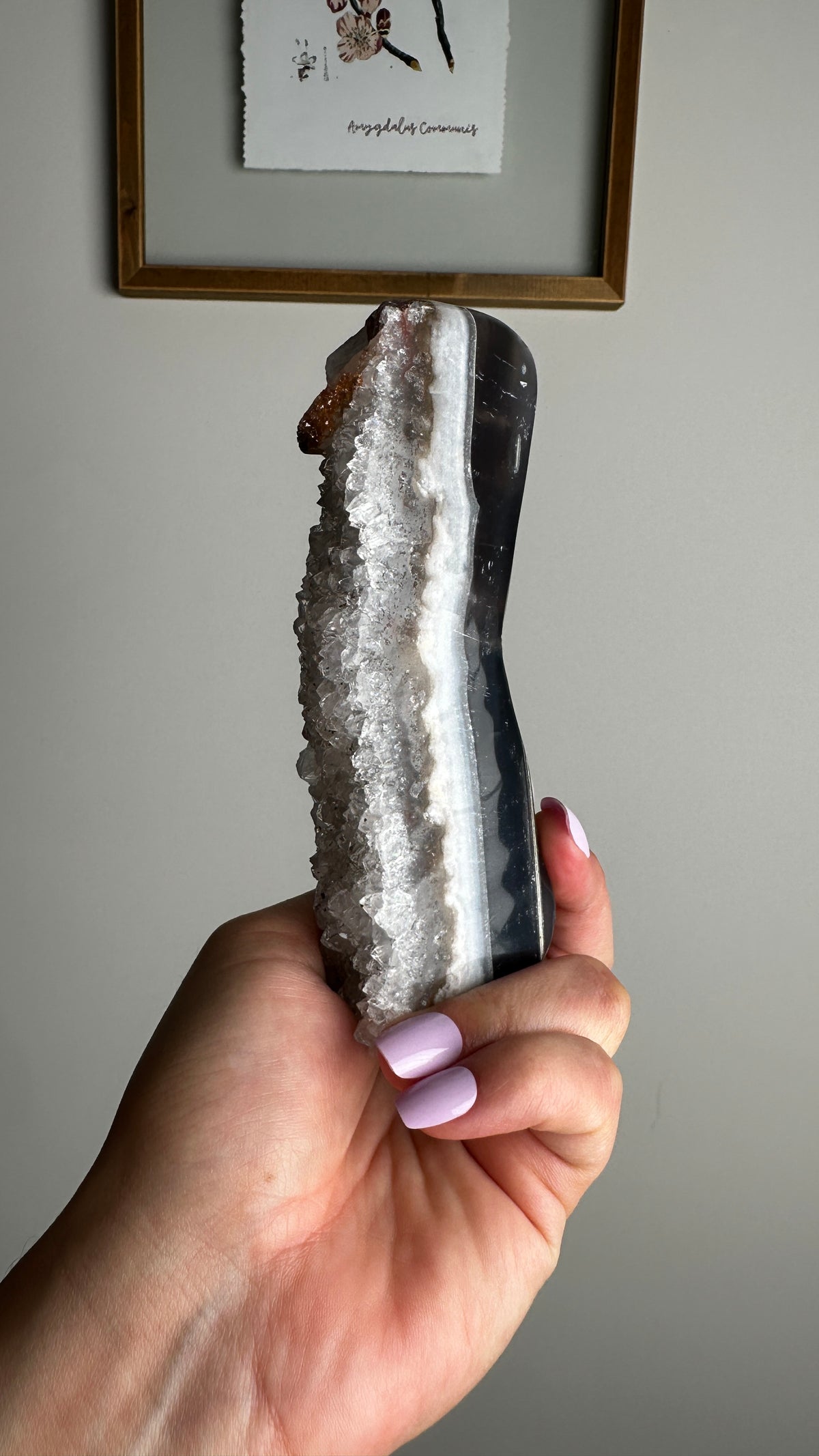 Natural Amethyst Geode Stand (HH)